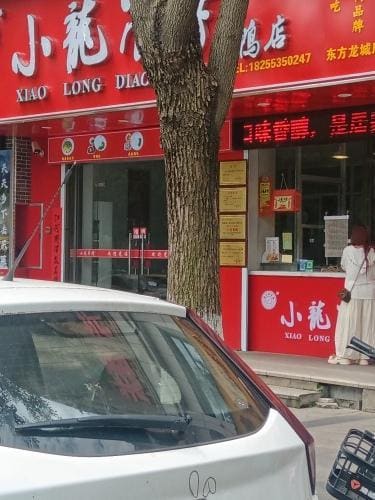 小龙吊烤鸭店(东方龙城秉心苑店)