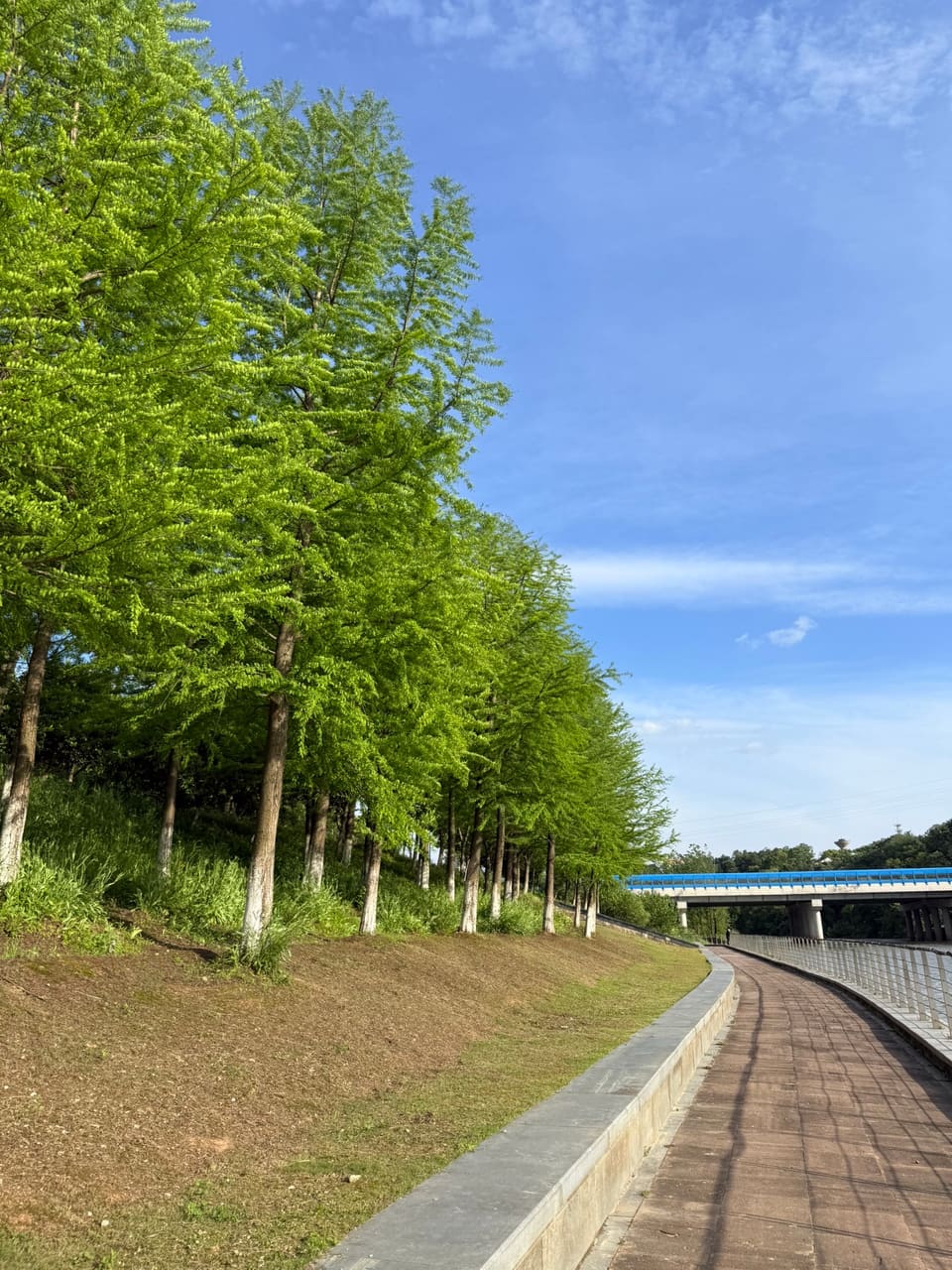 宛陵湖东湖公园