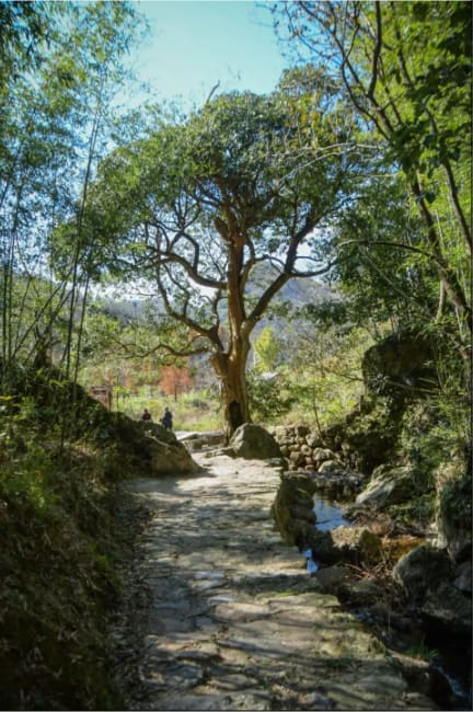 云峰自然村 / 蒋山寺遗址
