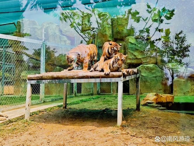 皖南野生动物园