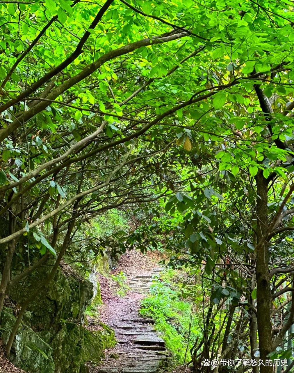 旌歙古道