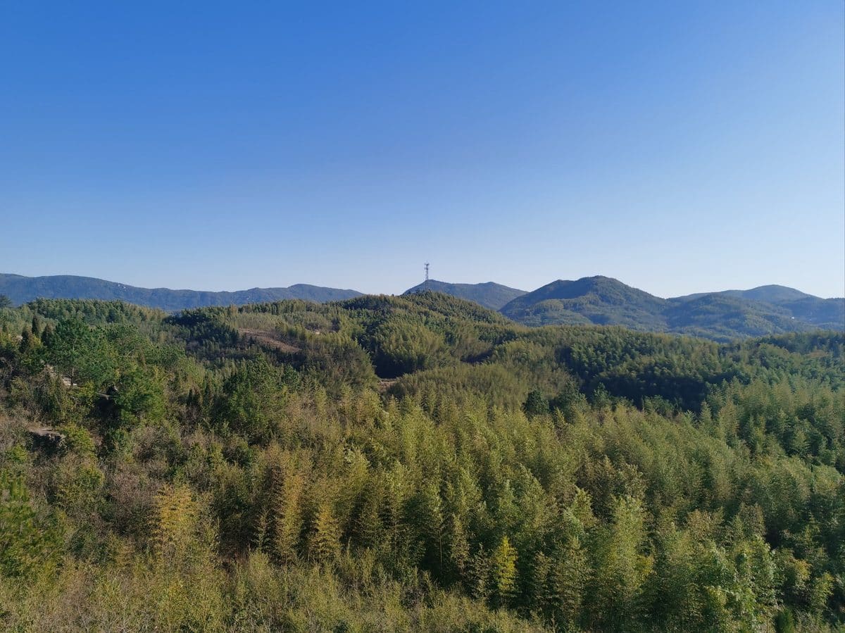 茅田山