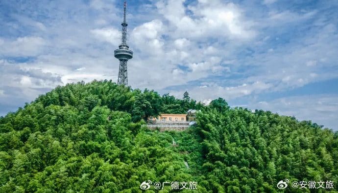 笄山竹海观景台