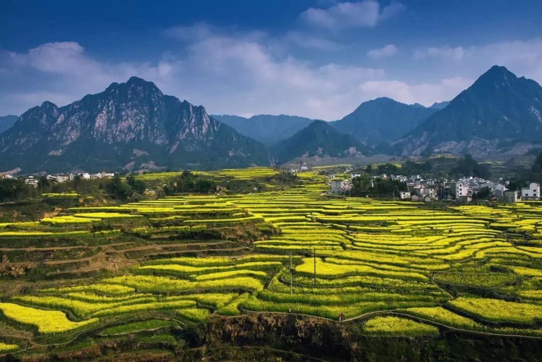 家朋梅干岭梯田