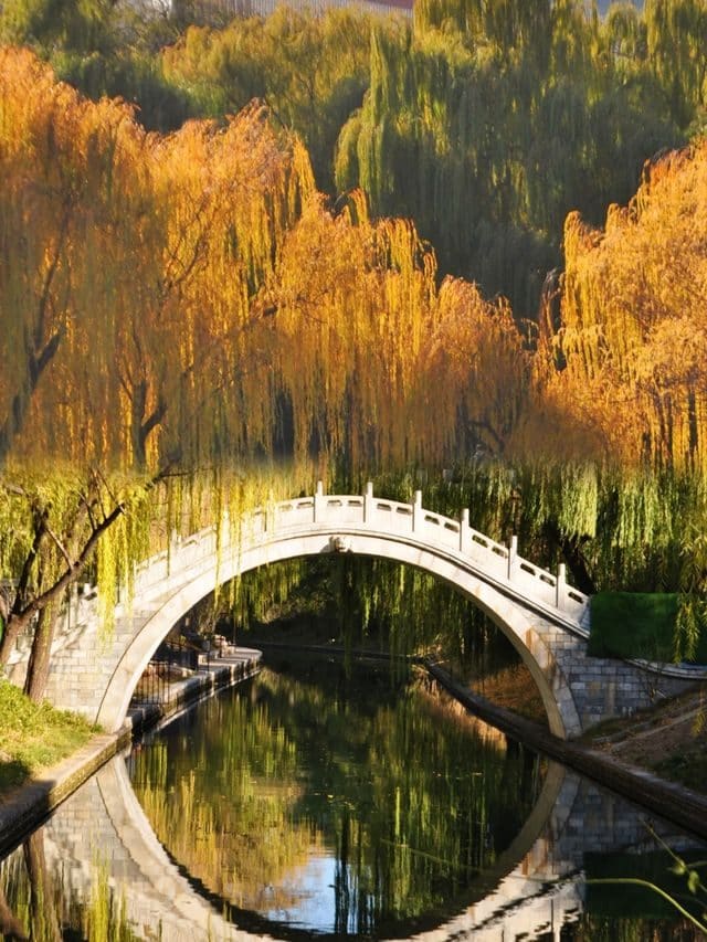 紫竹院公园