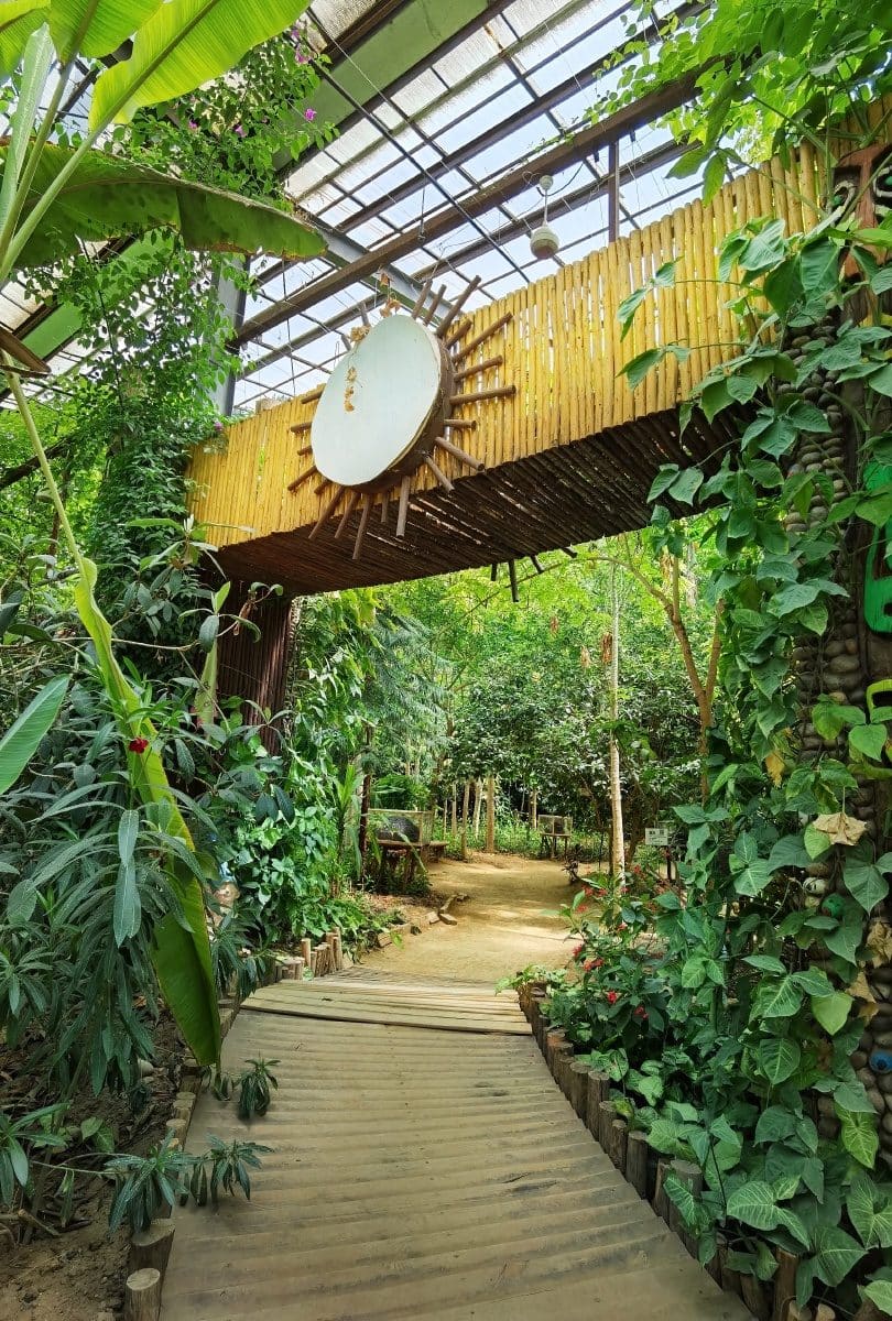 呀路古热带植物园