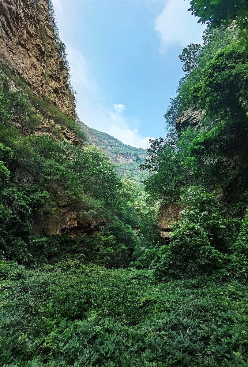 京东大峡谷