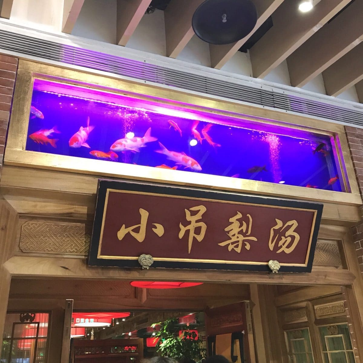 小吊梨汤(白石桥店)