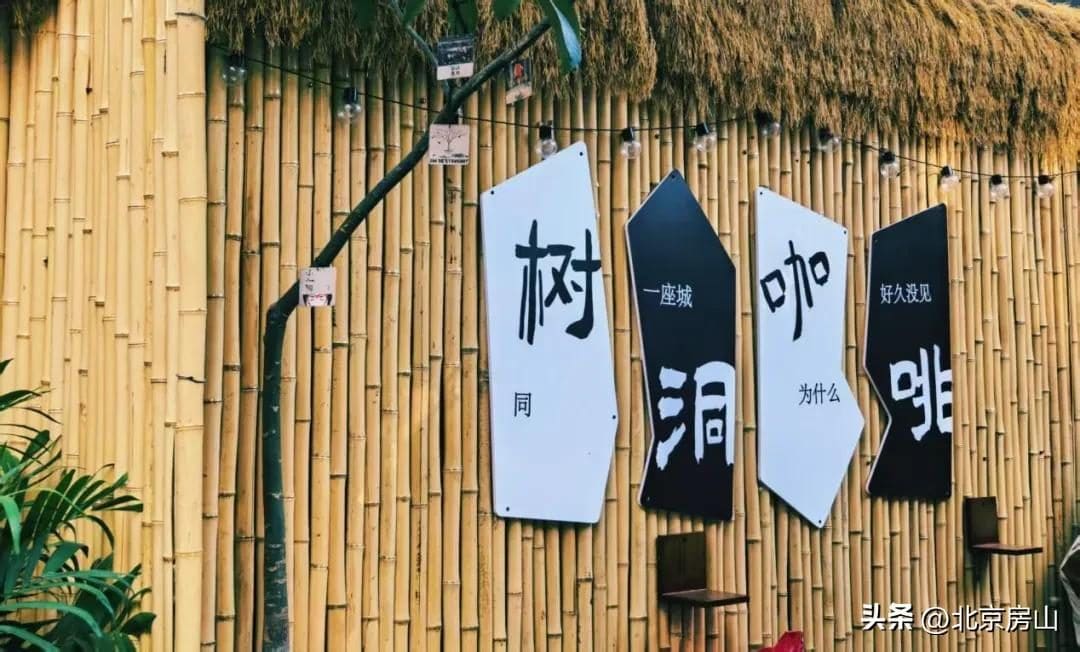 阎村树洞咖啡