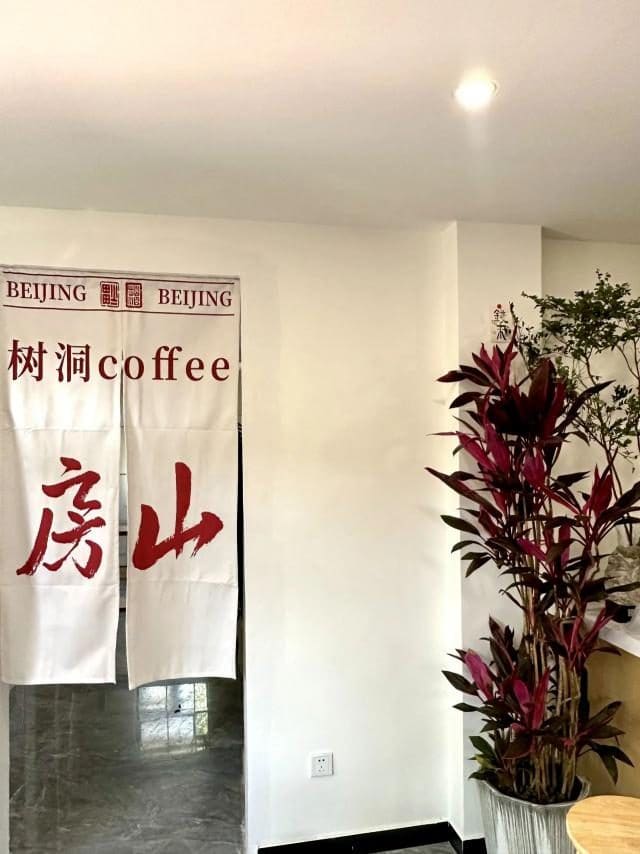阎村树洞咖啡