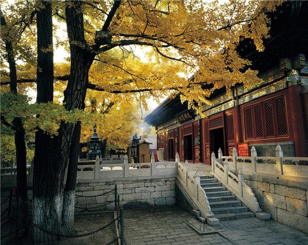 大城小院餐厅（红螺寺店）