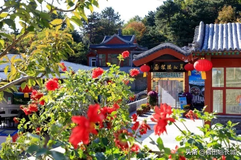 翼松楼餐厅
