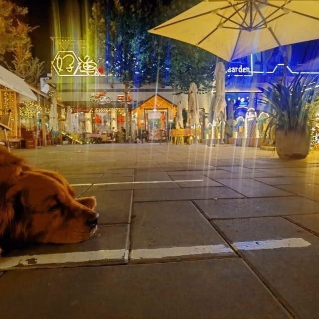 好渔小院·花园餐厅