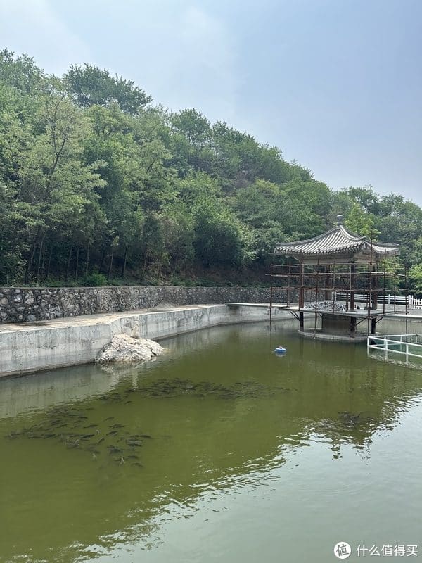 樱花泉谷·紫云山庄