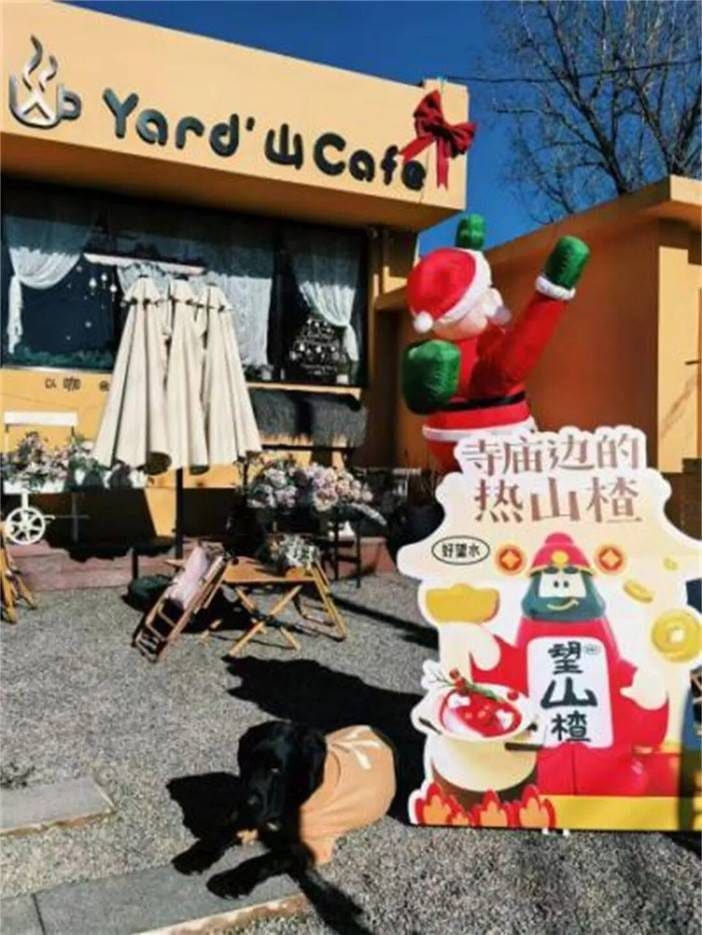 yard山cafe