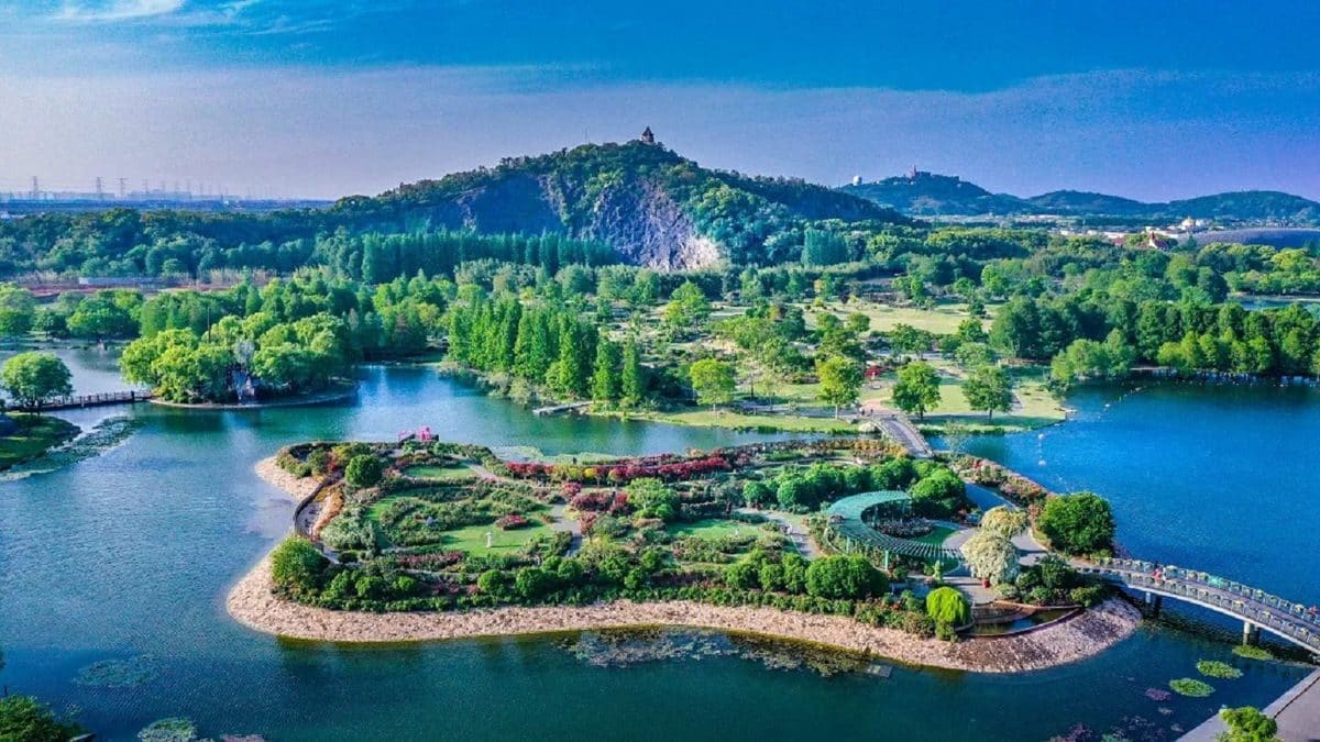 上海辰山植物园