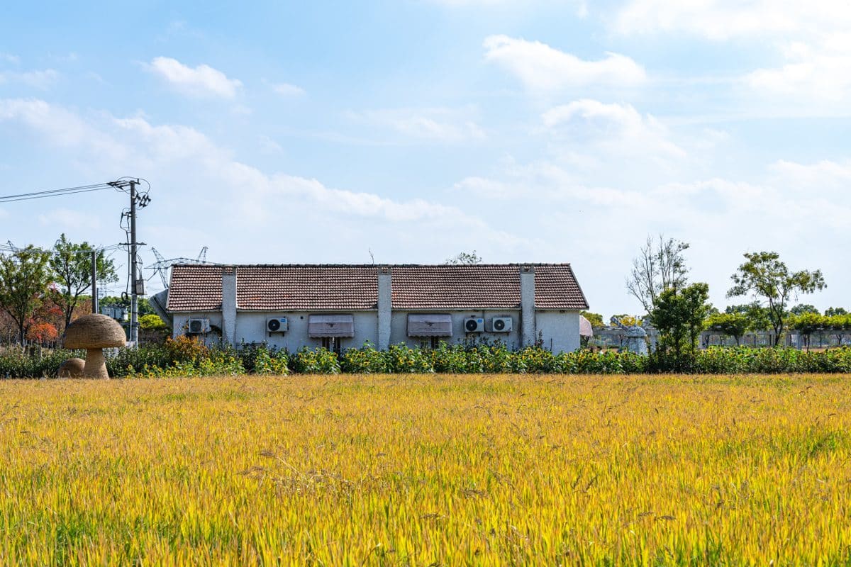嘉北郊野公园