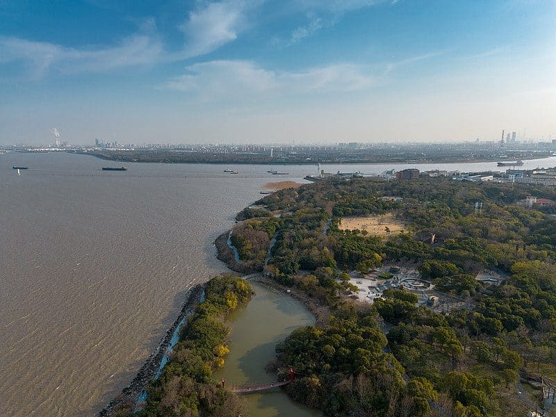 吴淞炮台湾国家湿地公园