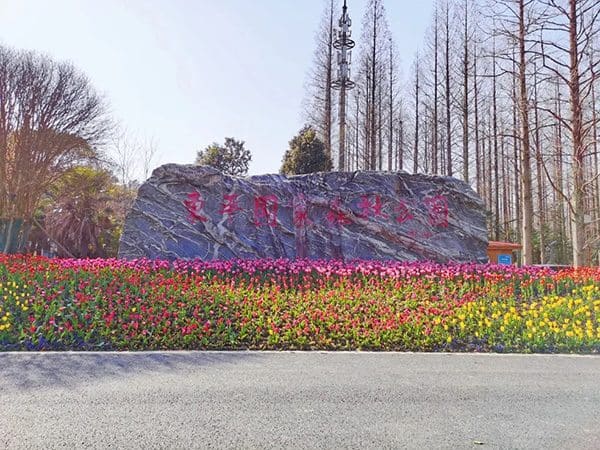 东平国家森林公园