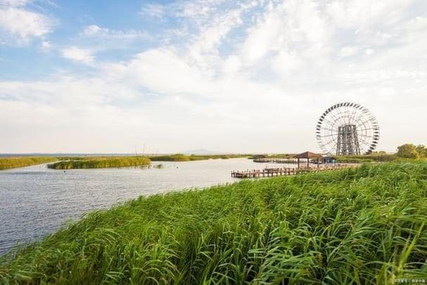东滩湿地公园