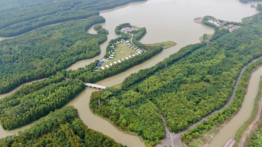 上海海湾国家森林公园
