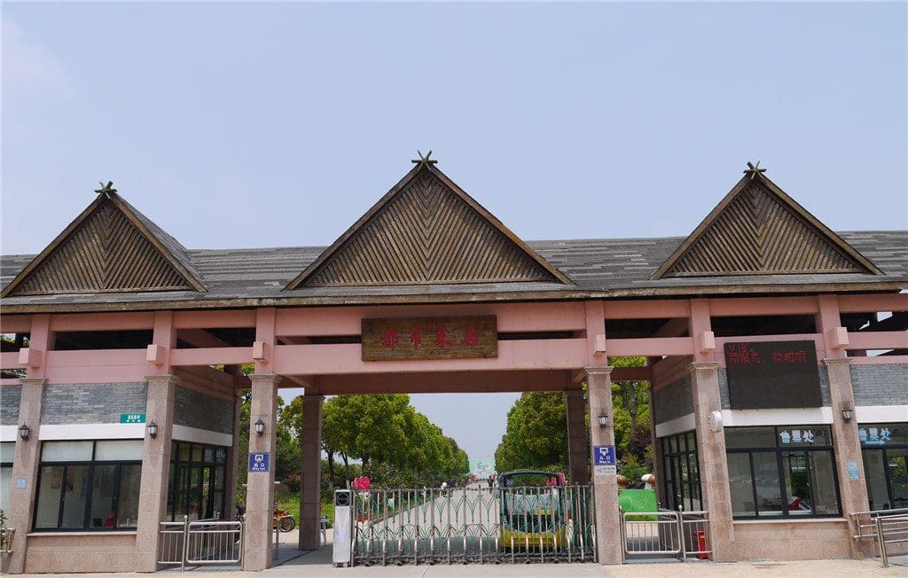 上海都市菜园