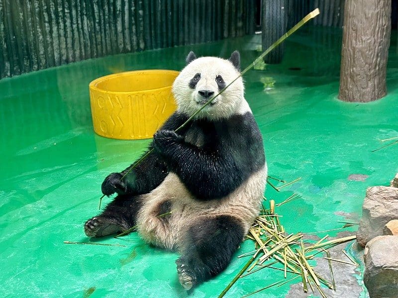 上海动物园