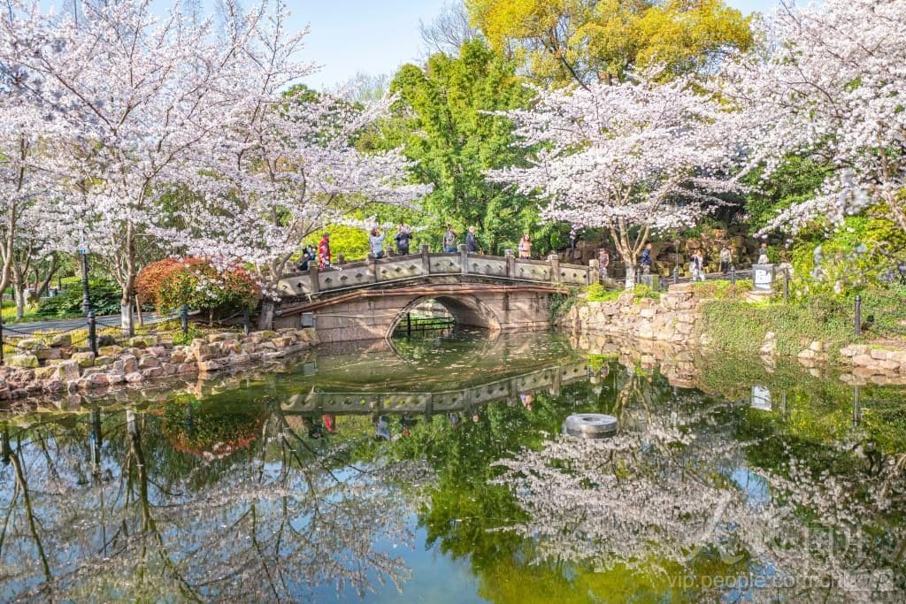 鲁迅公园(含鲁迅纪念馆)