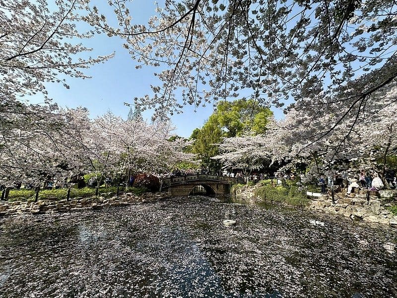 鲁迅公园(含鲁迅纪念馆)